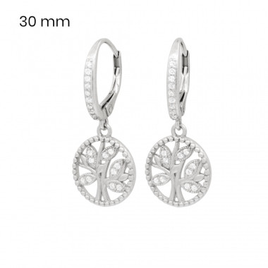 Stříbrné náušnice 40181301