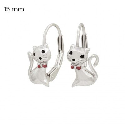 Stříbrné náušnice 40232401